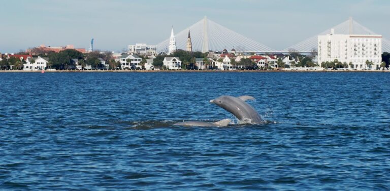 Charleston SC points of interest