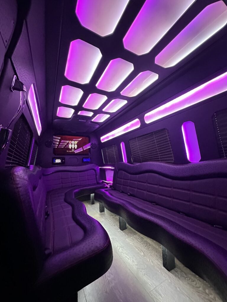 Charleston Sprinter Limo