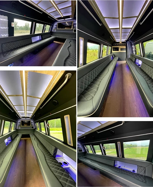 22 Passenger Party Bus